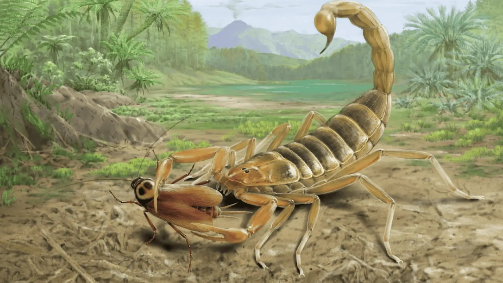 Fóssil de escorpião de 125 milhões de anos é descoberto na China
